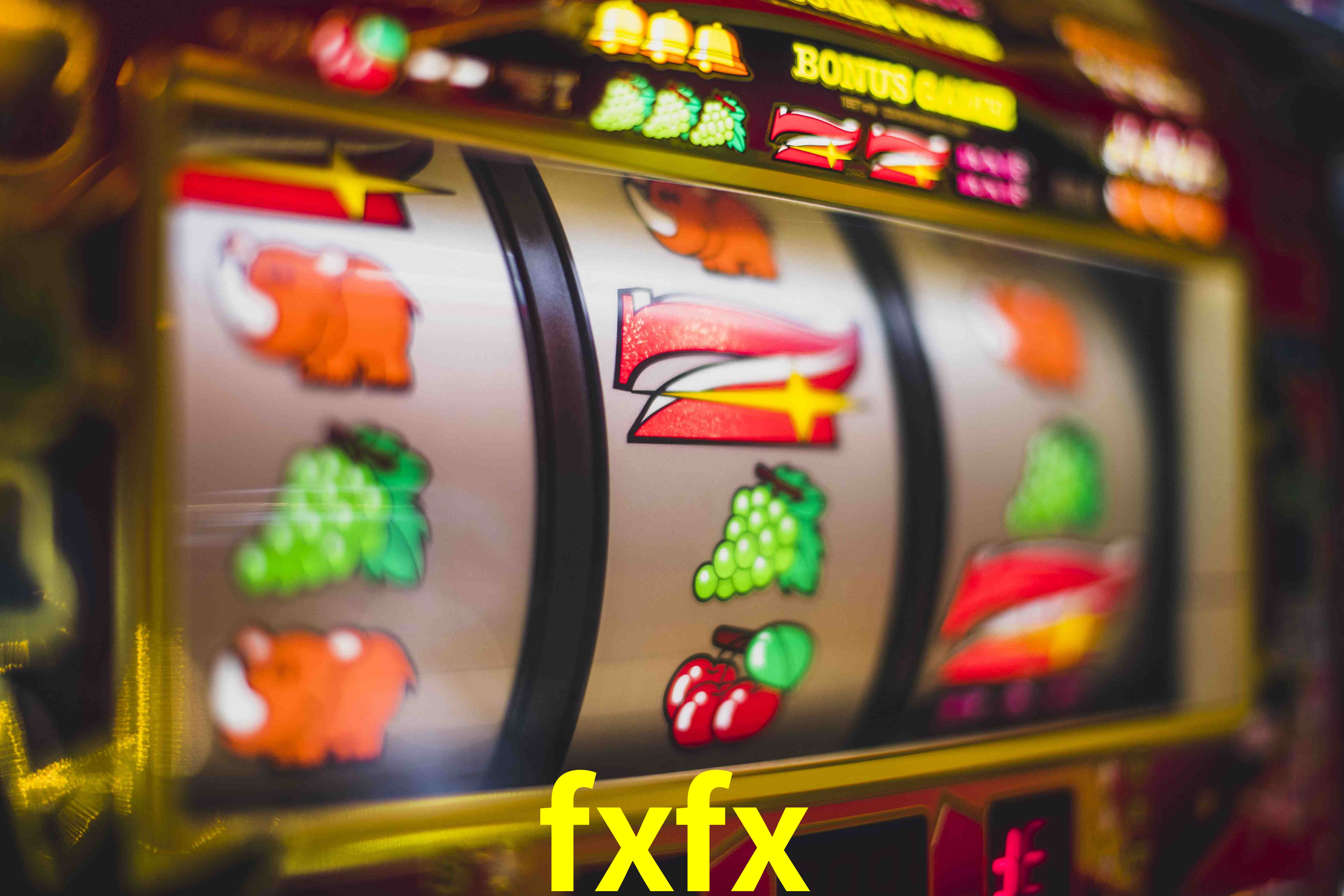 Experiência VIP fxfx